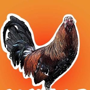 Meet your Posher, Andy